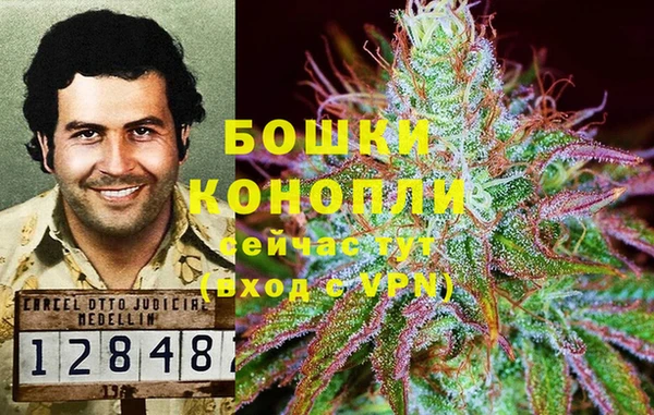 марки nbome Медвежьегорск