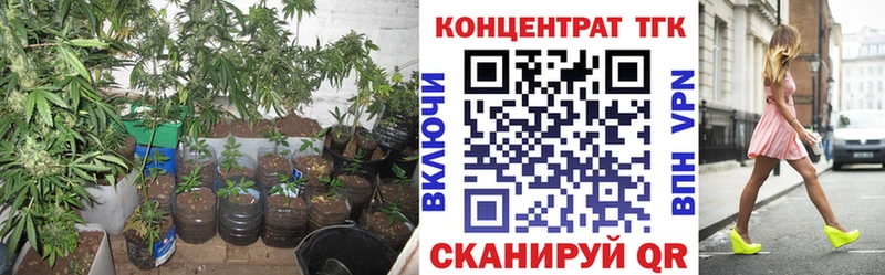 что такое   Нестеровская  Дистиллят ТГК концентрат 